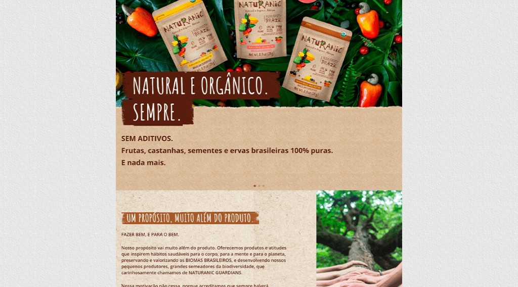 Criação de site e lançamento EUA/Brasil da Naturanic